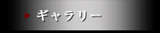 ギャラリー
